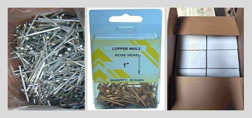 Square Boat Nail for Construction package