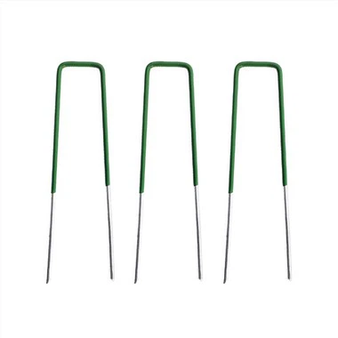 গার্ডেন স্ট্যাপল