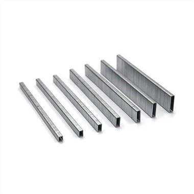 স্টেইনলেস স্টিল 304 ইউ টাইপ স্ট্যাপল